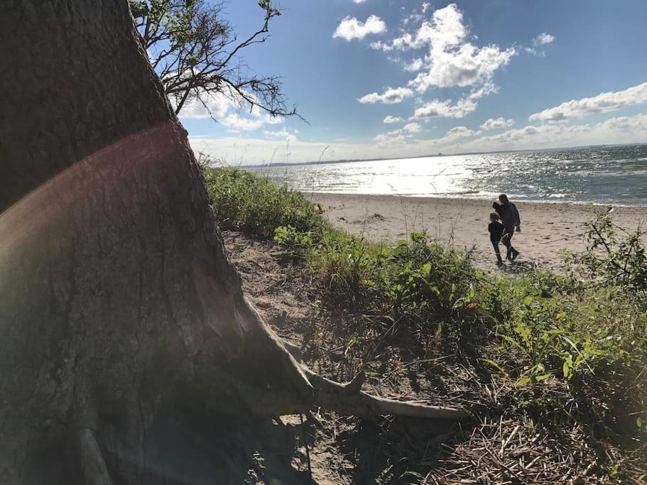 Stilvolles Reetdachhaus Coastline An Der Ostsee Гросс-Шванзе Экстерьер фото